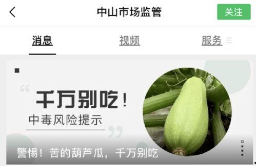 葫芦瓜能不能腌着吃呢视频,美味腌菜制作攻略