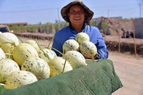 老当吃瓜群众视频下载,视频下载背后的秘密