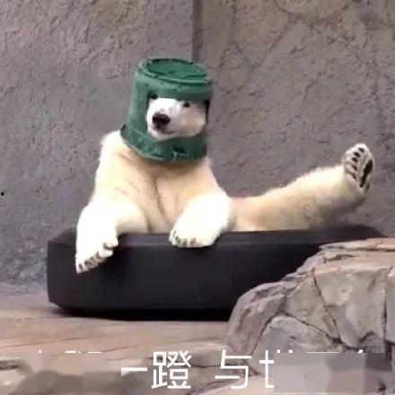 朝堂吃瓜沙雕视频,沙雕吃瓜视频揭秘宫廷秘闻