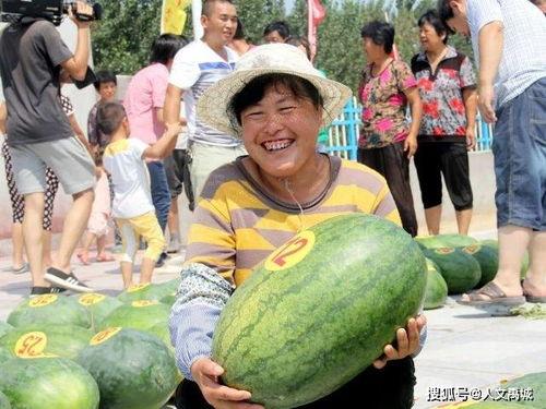 成都沙河吃瓜事件视频,一场网络热议的社区冲突揭秘