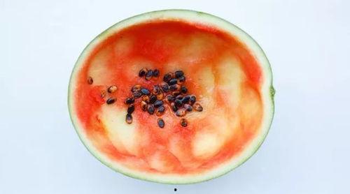 合肥吃瓜事件真相视频