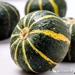 黑粉吃瓜视频大全,盘点热门视频大全